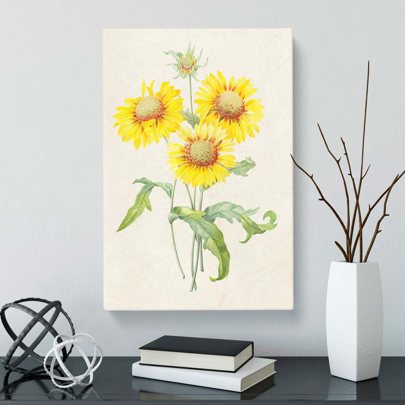 Yellow Blanket Flowers by Pierre-Joseph Redoute - Wrapped Canvas, 76cm H x 50cm W x 3cm D