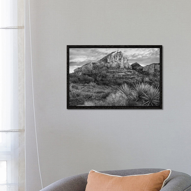 Narrow Leaf Agaves And Thunder Mountain, Coconino National Forest, Near Sedona Arizona by Tim Fitzharris - Gallery-Wrapped Canvas Giclée on Canvas