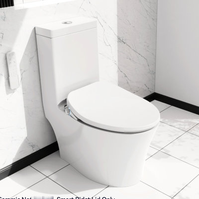 Electric Toilet Seat Featuring Water Spray, Adjustable Flow Rate, Heated Seat: Ring , Air Dryer