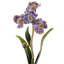 Hand Painted Decorative Object