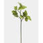Faux Branch