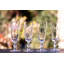 Champagne Flutes Set Of 4 Stars