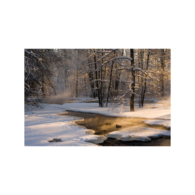 The First Light by Robin Eriksson - Wrapped Canvas Print, 101.6 cm H x 66.04 cm W x 3.175 cm D