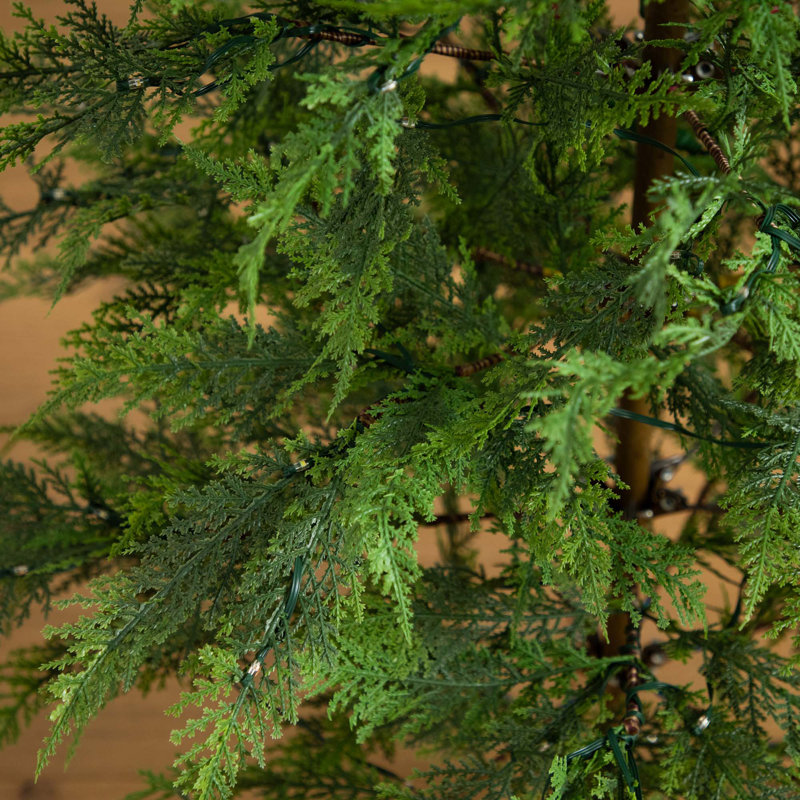 5 pi Sapin de Noël artificiel pré-éclairé Park City