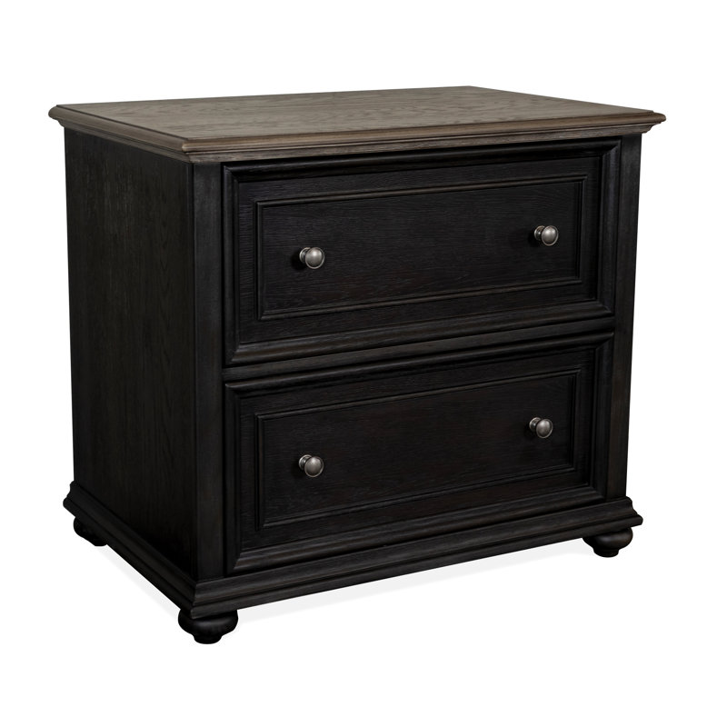 Argelia 34'' Wide 2 -Drawer File Cabinet