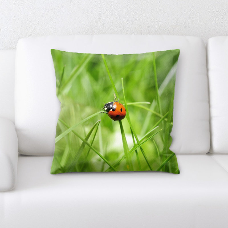 Coussin coccinelle