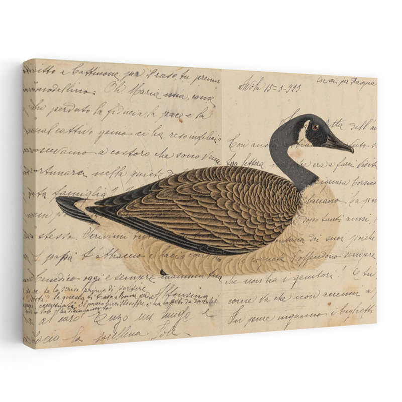 Canada Goose, oiseau rétro, art animalier, 24" H x 16" W