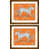 Orange/Black/White