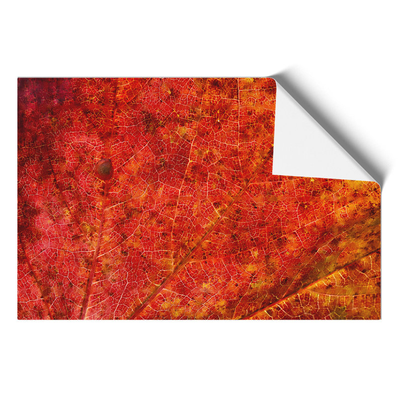 Autumn Leaf Painting - Frameless Print, 21cm H x 30cm W x 0.1cm D