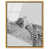 Gold Frame