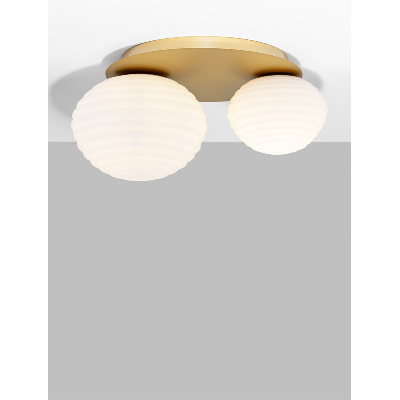Beckie Glass Spotlight