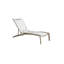 South Beach Outdoor Chaise Lounge-11127453-18308938