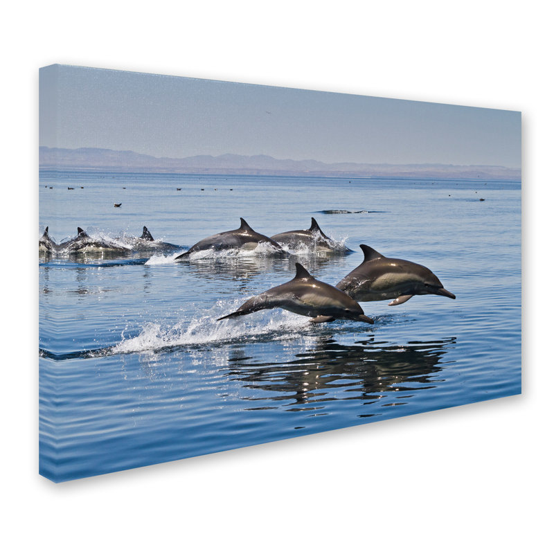 Ann «Dolphins», reproduction de photo sur toile tendue, H 16 po x l 24 po