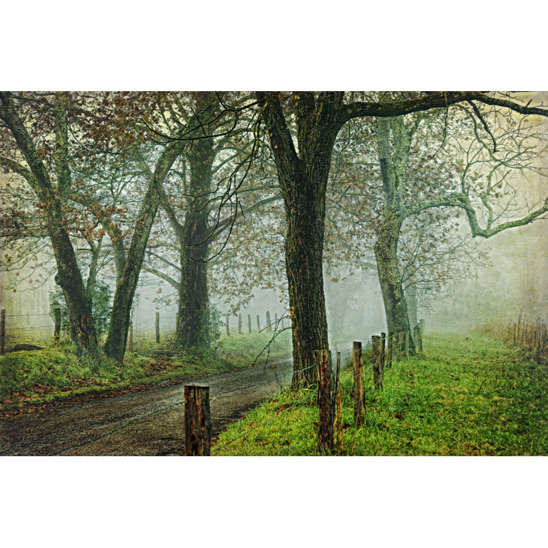 Morning On Sparks Lane IV by Danny Head - Wrapped Canvas Art Prints, 30cm H x 46cm W