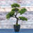 49cm Faux Bonsai Plant in Planter
