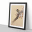 Pheasant on a Cherry Blossom Tree by Ohara Koson - Picture Frame Painting Print-55583688-55583690