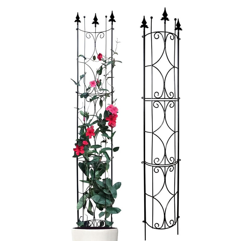 187cm H x 32cm W Iron Arched