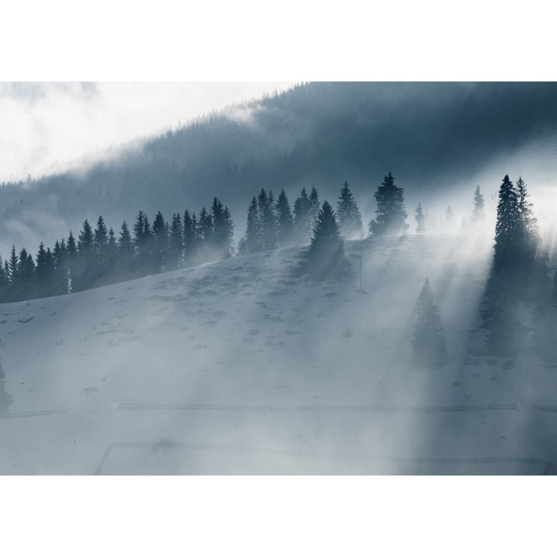 Blue Misty Forest - Print, White Framed, 64.4cm H x 84.4cm W x 1cm D