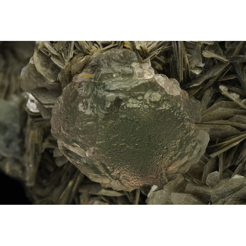 Fluorite époustouflante sur de la muscovite du Pakistan