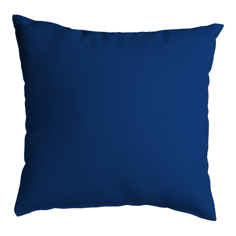 Outdoor Throw Pillow, 12" x 12"
