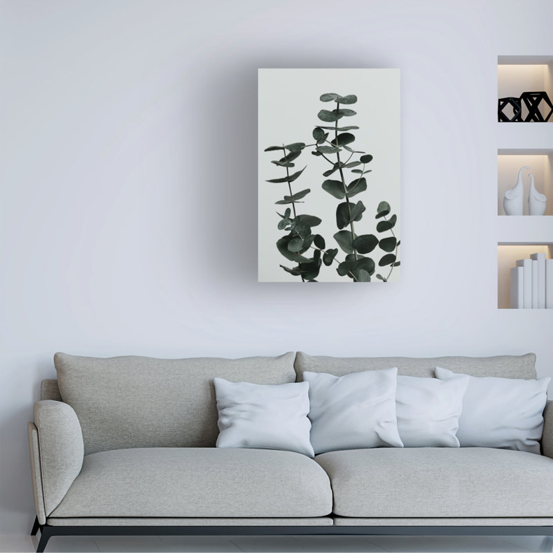 Eucalyptus naturel 11, H 47 po x l 30 po x P 2 po