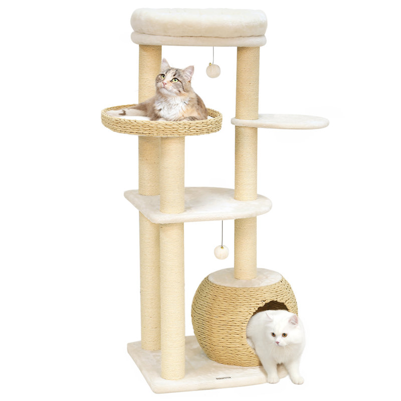 Arbre à chat Ashawn