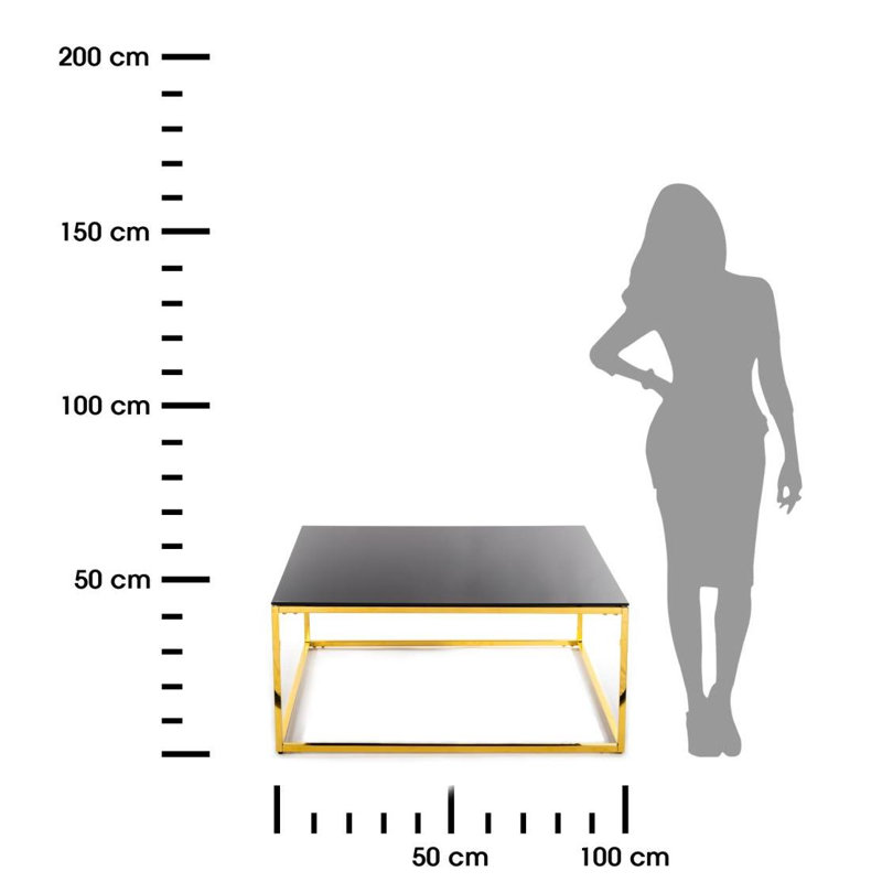 Nabors Floor Shelf Coffee Table, Black
