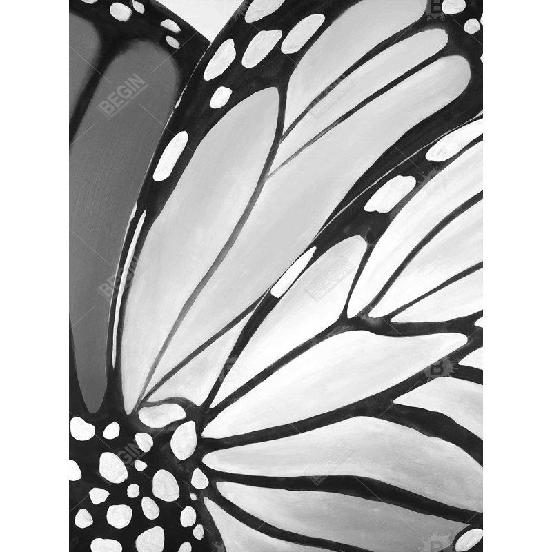 Monarch Wings Closeup - Monochrome Gray Framed Canvas Art