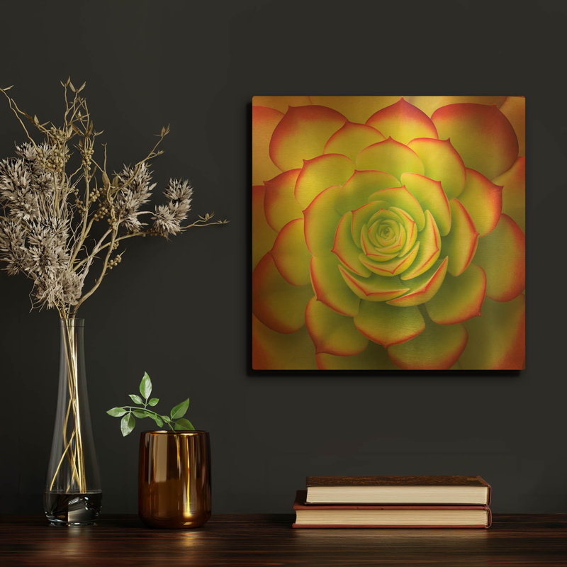 «Fiery Succulent» par Jan Bell, art mural en métal doré, 12 po x 12 po, 12 po x 12 po