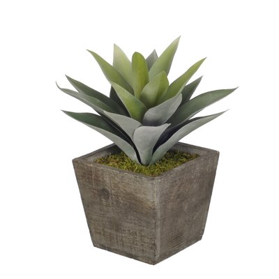 Artificial Frosted Green Succulent Desk Top Plant in Pot -  Winston Porter, HF0482-G
