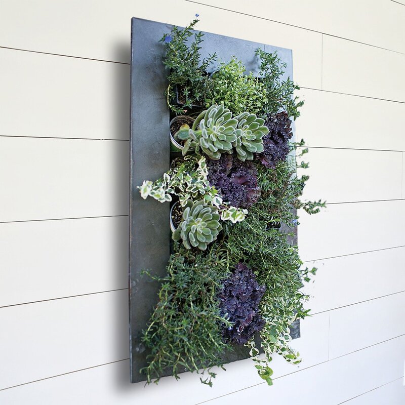 Sand & Stable Willamette Metal Wall Planter & Reviews | Wayfair