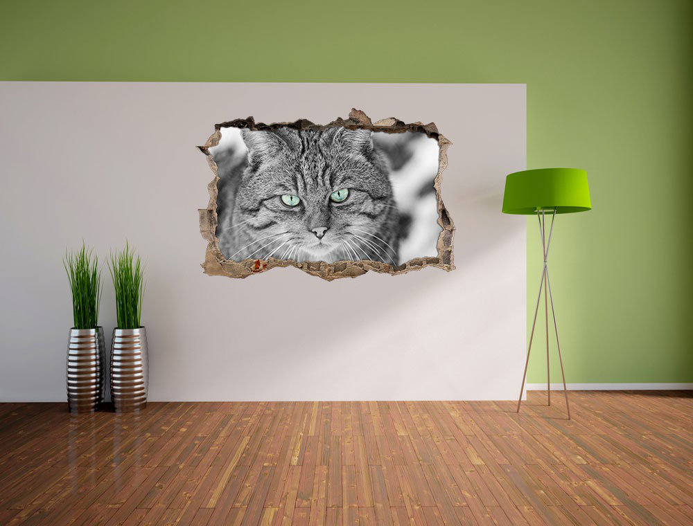 Kleine Pallas-Katze mit süßem Blick Wandsticker