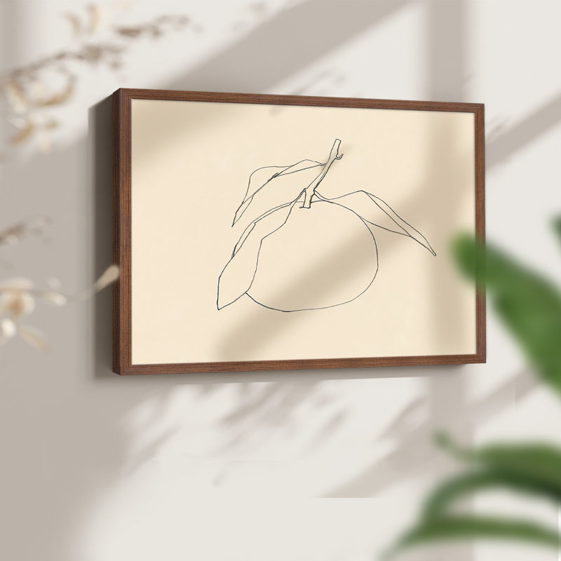 «Citrus Contour I», reproduction encadrée, Noyer, H 16 po x l 20 po