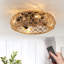Ventilateur de plafond 19,69 "à pales avec cage et télécommande inclus