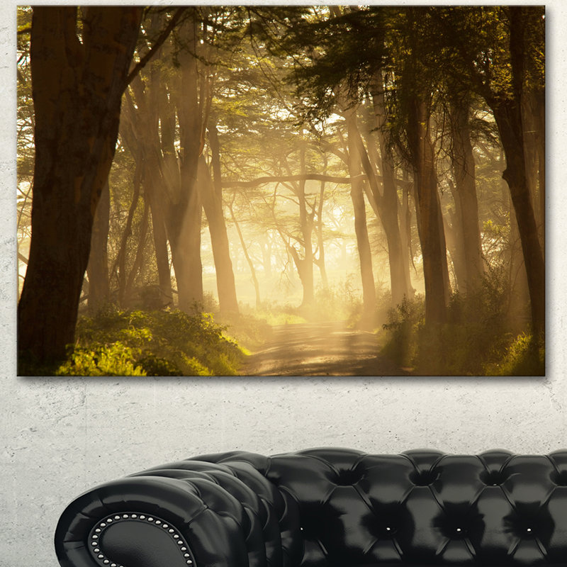 « jungle profonde avec soleil », reproduction de photo sur toile tendue, H 16 po x l 32 po