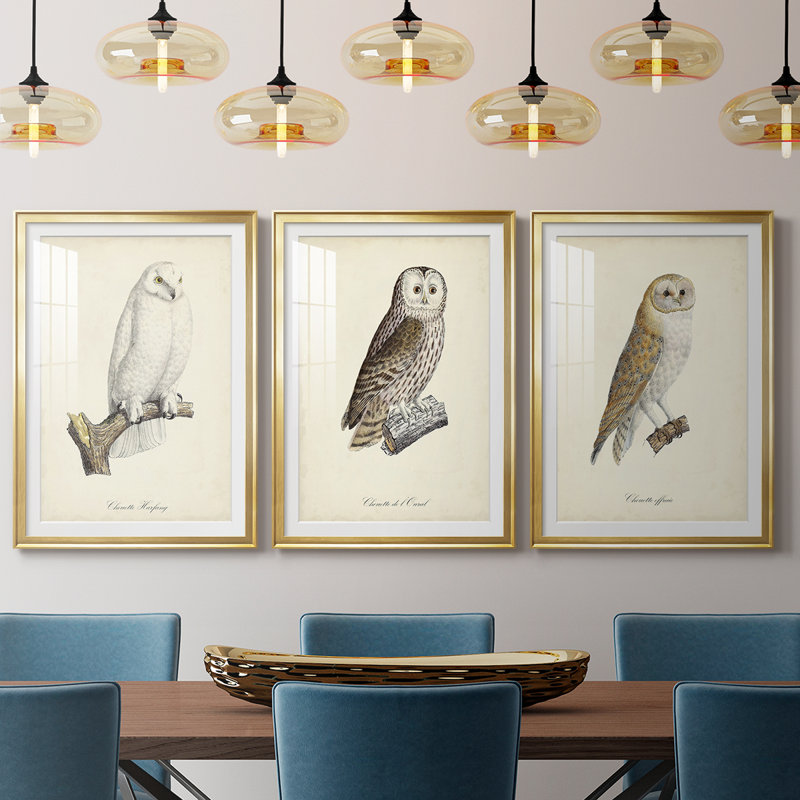 French Owls IV - reproduction sur mesure encadrée de qualité supérieure - 3 pièces, H 21 po x l 30 po, Doré