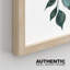 "Forest Plant", ensemble de 4 impressions murales encadrées "Forest Plant"-93011990-93011987