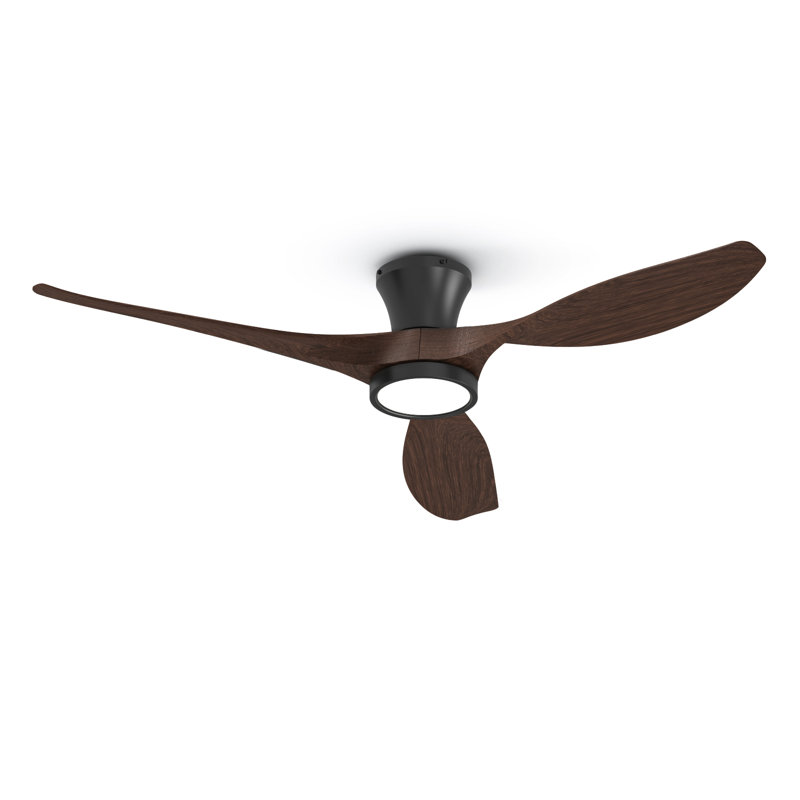Jacara 52" Flush Mount Ceiling Fan with LED Light & Remote Black with Walnut, Black with Walnut Blades