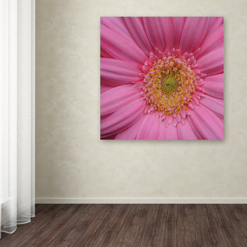 « rose » par kurt shaffer, reproduction de photo sur toile tendue, H 14 po x l 14 po x P 2 po