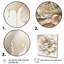 Blooming Beige Floral Design II - Art mural sur toile floral et botanique-567581777-567581779