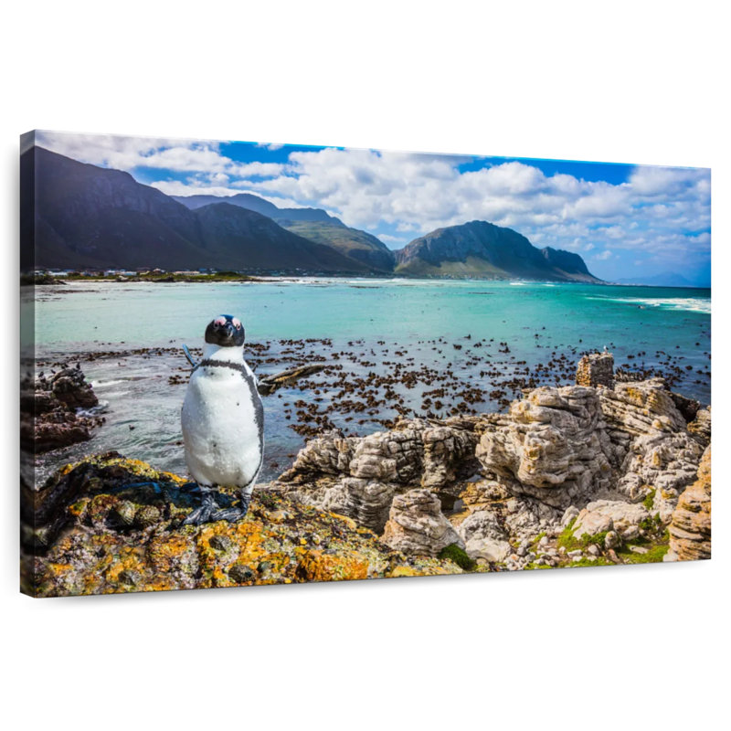 Atlantic Penguin, 24" H x 36" W