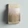 Cedrick Steel Flush Mounted Sconce