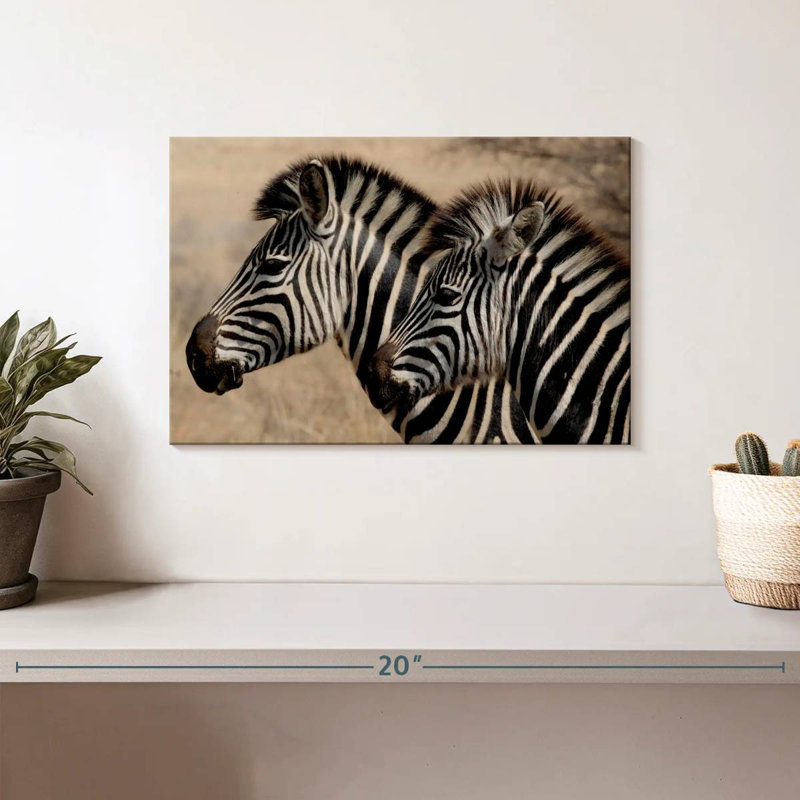 Brampt Zebra Friends, H 8 po x l 12 po
