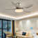 Antsje 122cm Ceiling Fan with LED Lights