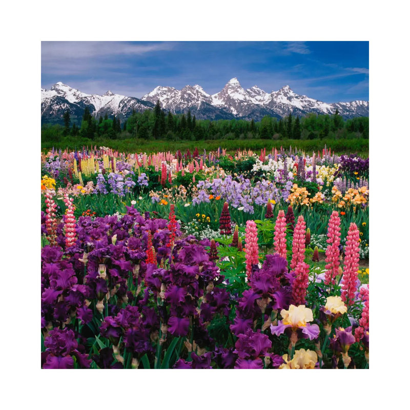 1 Piece Wall Art on Canvas, 30.48 cm H x 30.48 cm W, Wrapped Canvas