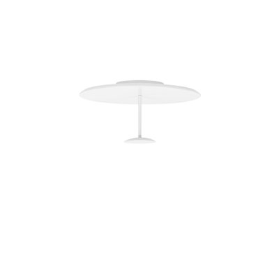 Flush Mount