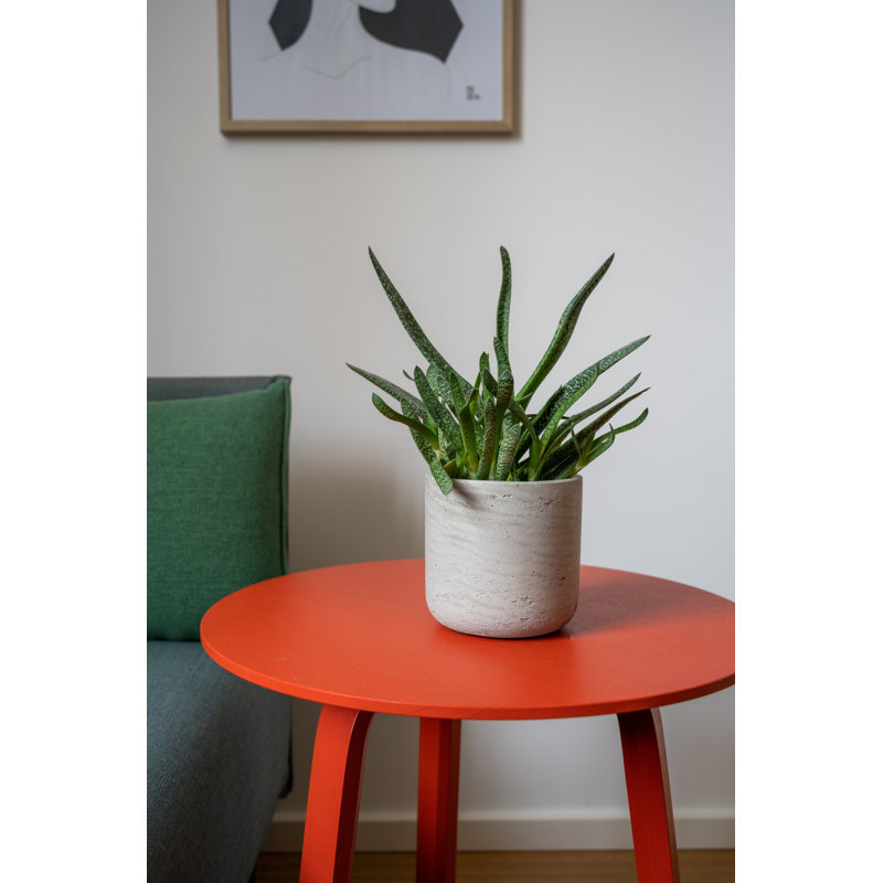 Bohemian Pots Handmade Fiberstone Planter, 6" H x 6" W x 6" D