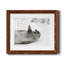 Laughing Seal - photographie avec cadre photo-1242266303-1242266296