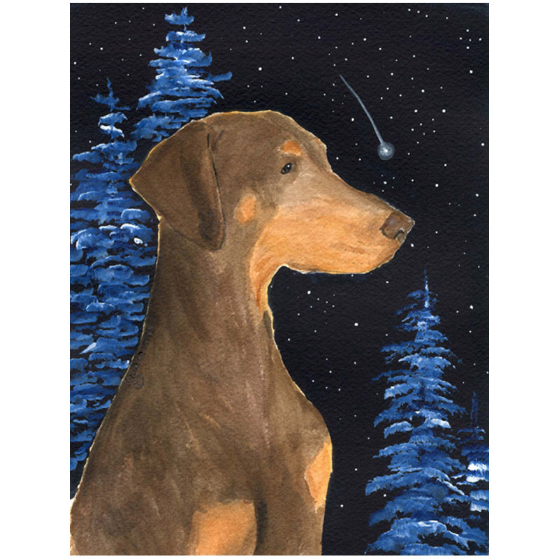 Drapeau de jardin 2 côtés starry night doberman