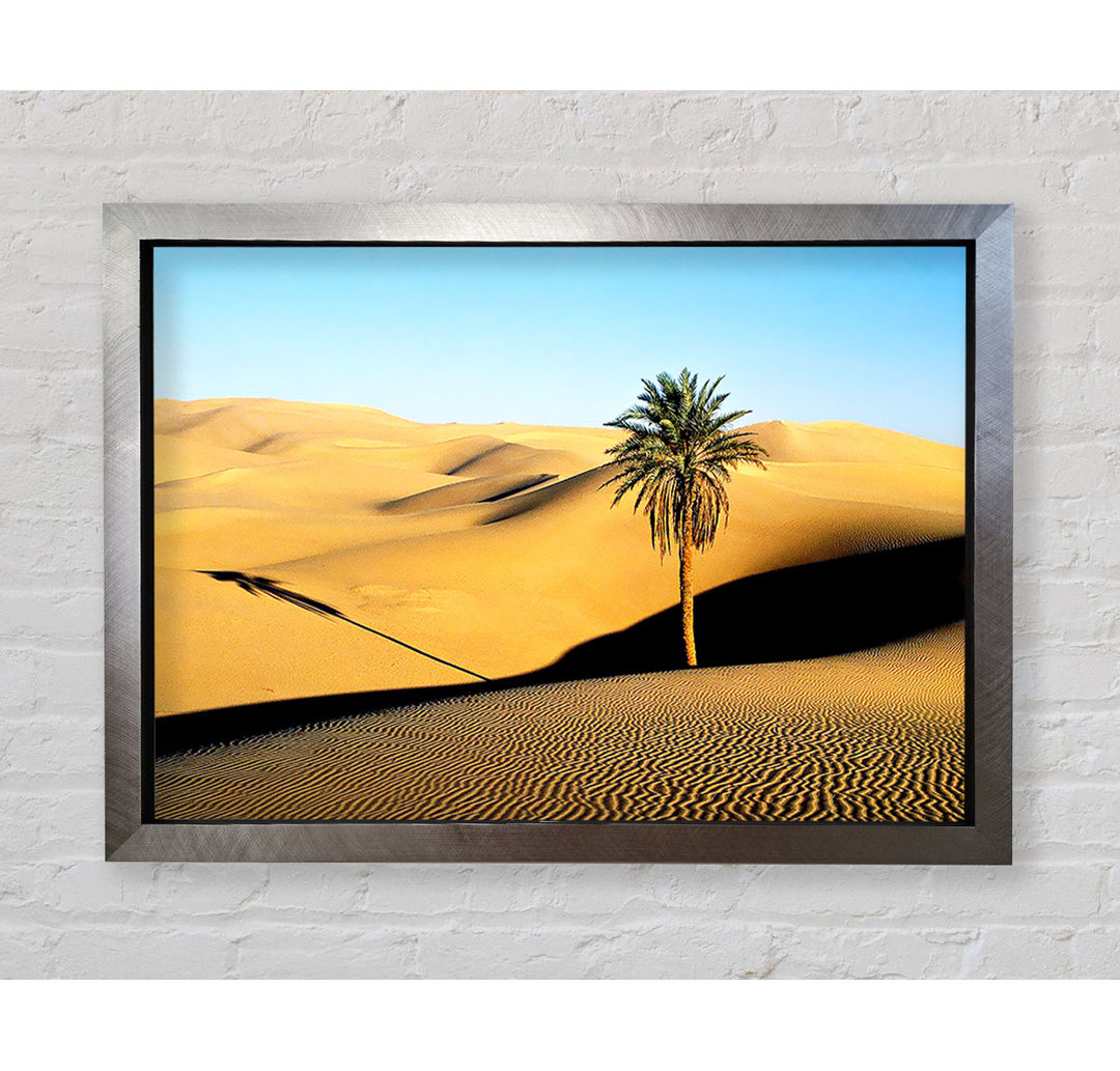 Desert Palmtree - Drucken